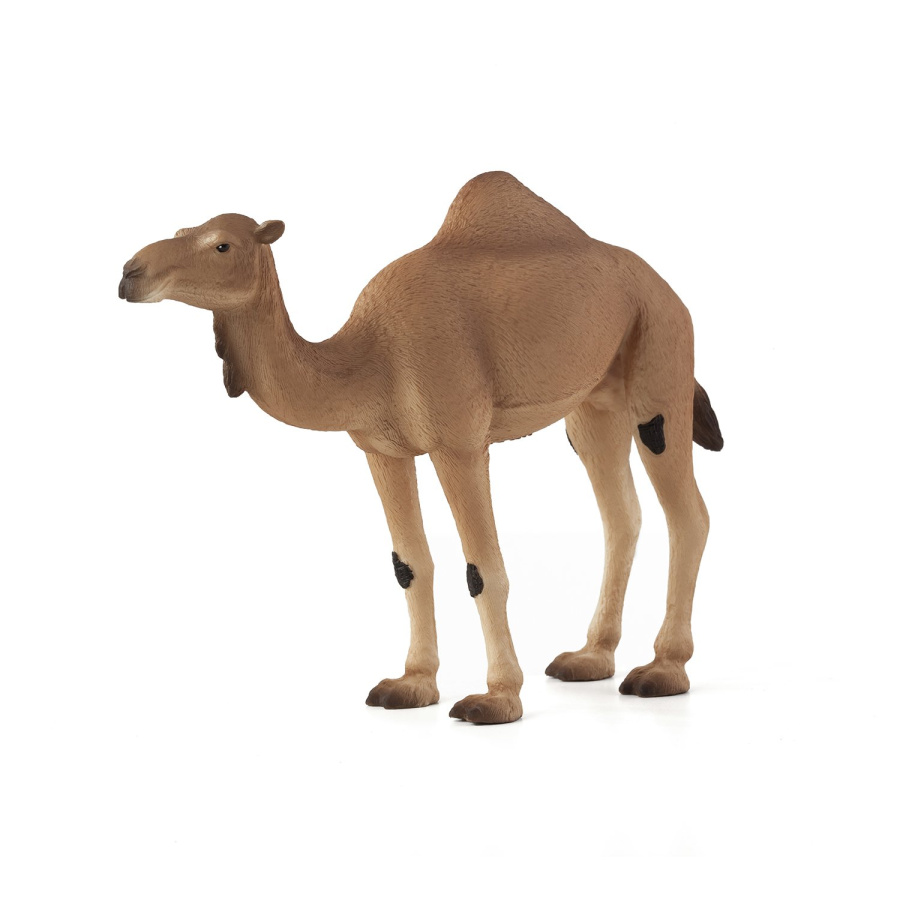 387113 Фигурка Mojo (Animal Planet)-Одногорбый верблюд (XL)