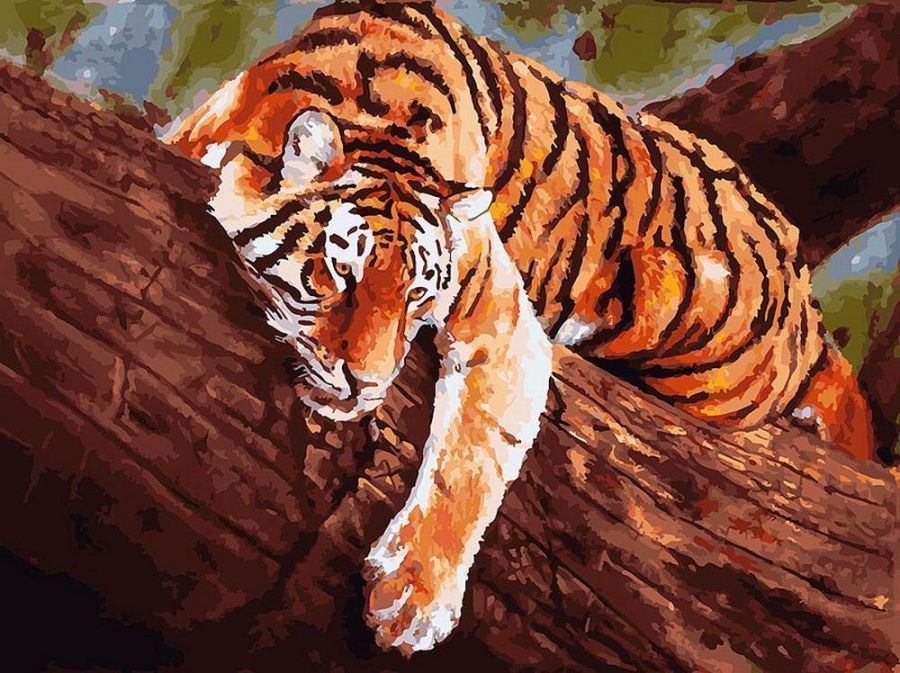 Картина по номерам на холсте 30*40 см Тигр на дереве СИМВОЛ ГОДА 2022