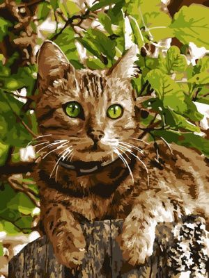 Картина по номерам "Зеленоглазый котик"