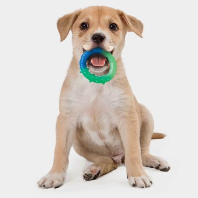 Petstages игрушка для собак "ОРКА кольцо - растем вместе" мультиповерхность, 15 см