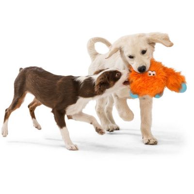 West Paw Zogoflex Rowdies игрушка плюшевая для собак Lincoln 28 см оранжевая