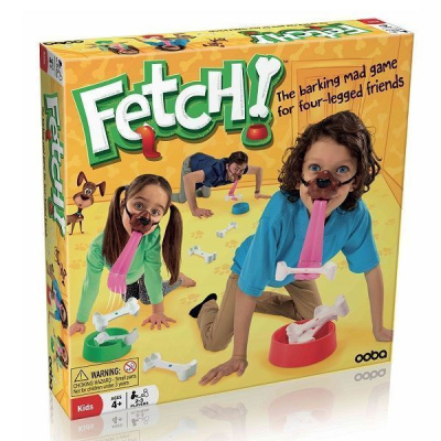 Игра комнатная Fetch