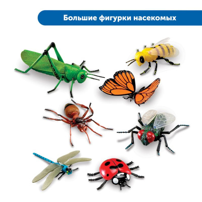 MS0043 Юный энтомолог в детском саду (комплект для группы)