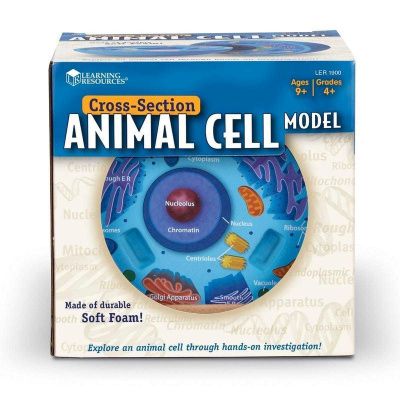 LER1900 Развивающая игрушка  "Клетка животного модель в разрезе" (демонстрационный материал из мягко