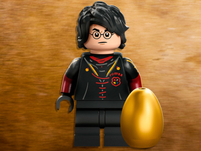Конструктор Lego Harry Potter Венгерская хвосторога 76406