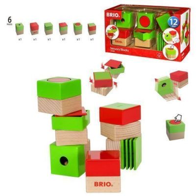 BRIO Развивающие кубики (6 элементов) 