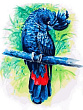 Картина по номерам на холсте 30*40 см Синий попугай