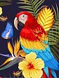 Набор для творчества Рыжий кот Алмазная мозаика Крупный разноцветный попугай квадратная классическая