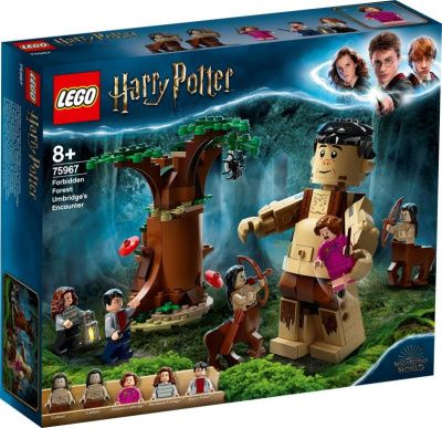 Конструктор LEGO Harry Potter TM Запретный лес: Грохх и Долорес Амбридж