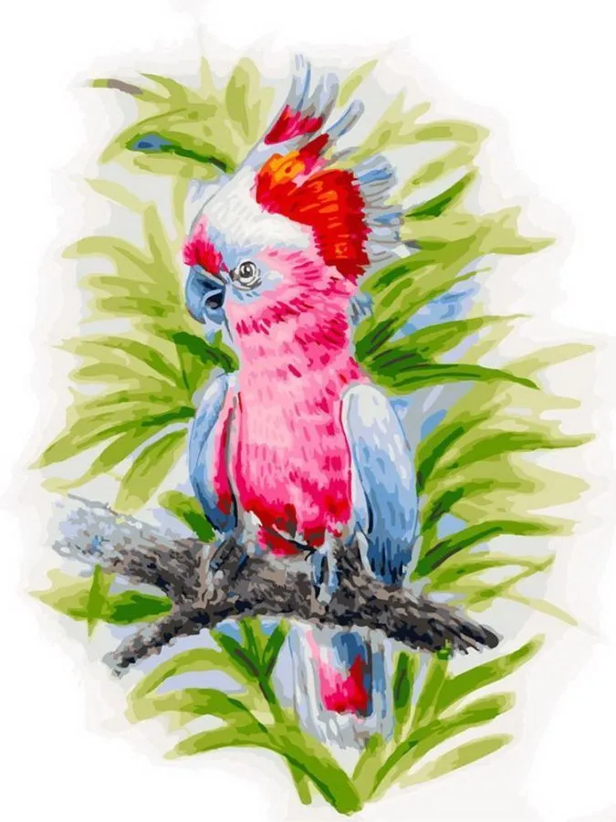 Картина по номерам на холсте 30*40 см Розовый попугай