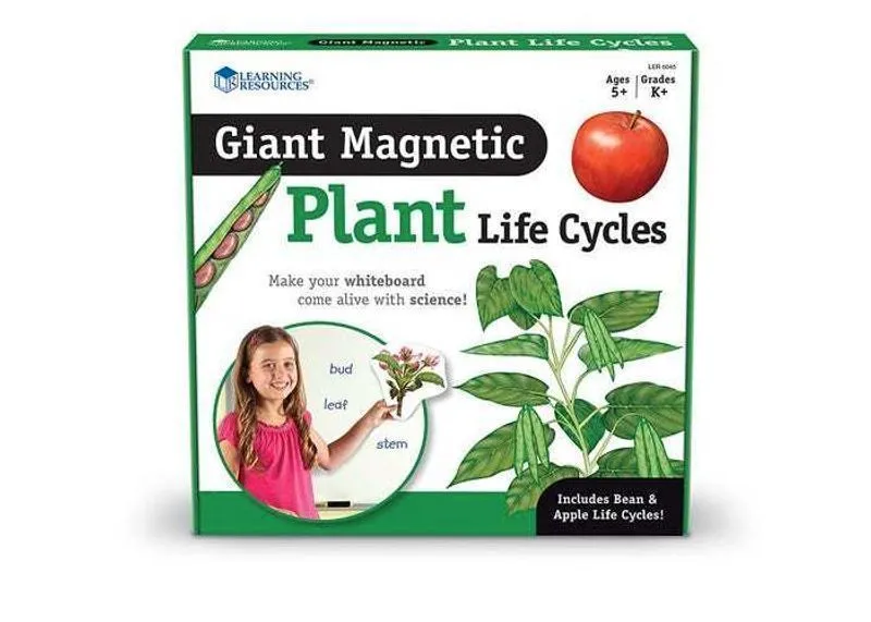 LER6045 Развивающая игрушка "Жизненный цикл растений", магнитный (демонстрационный материал, 12 элем