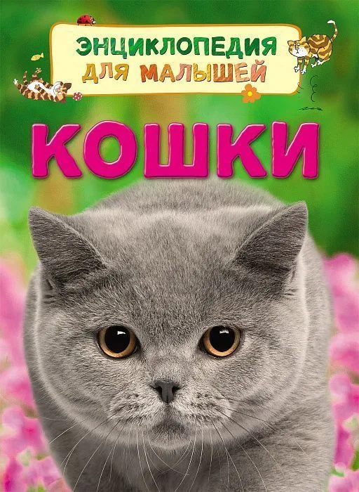 Кошки (Энциклопедия для малышей)