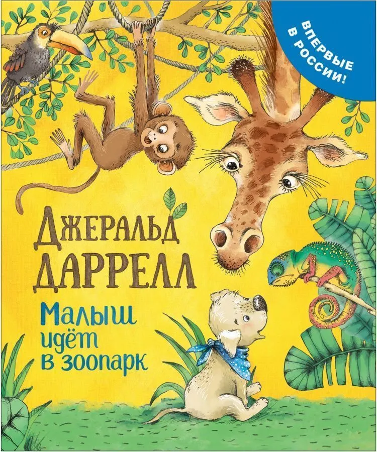 Интернет Магазин Зоопарк Москва