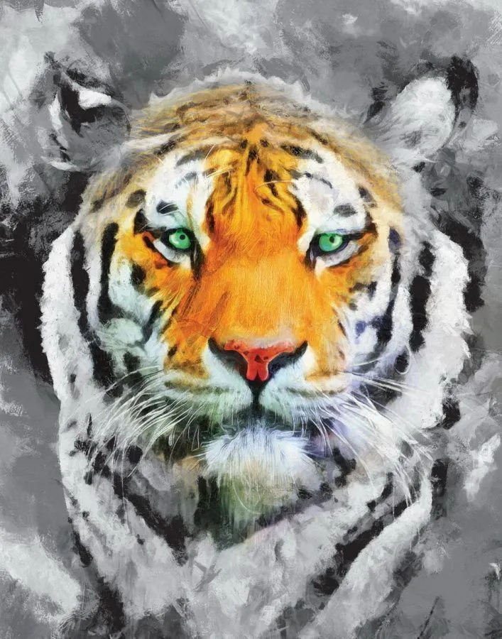 Набор для творчества Холст с красками по номерам Красивый зеленоглазый тигр 30х40 см Символ года 202